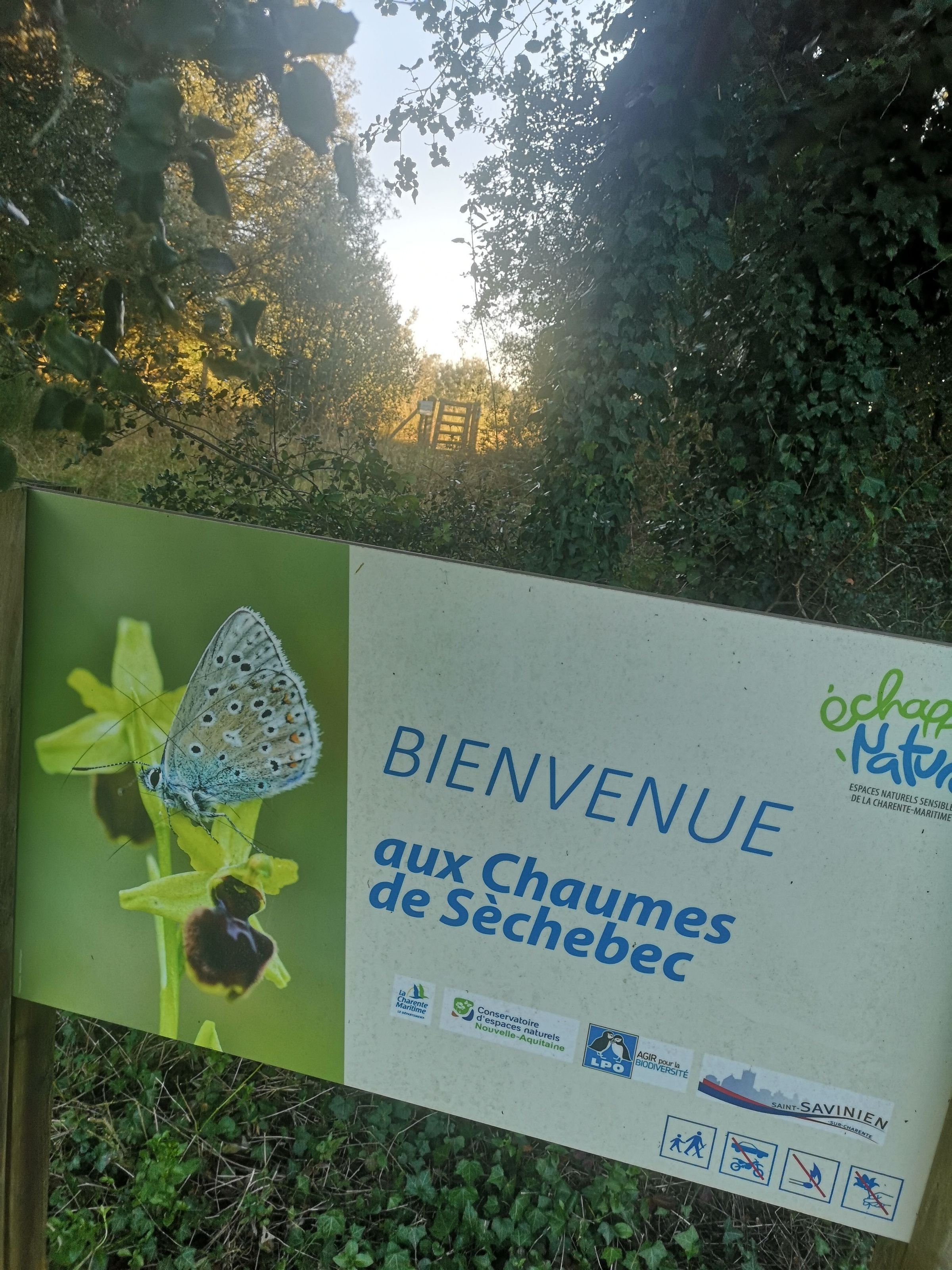 Chaumes de Sèchebec